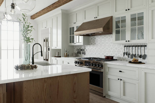 Dishwasher install Forest Hill